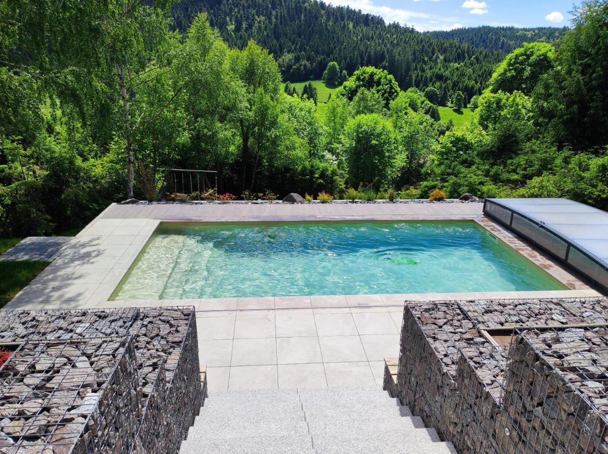Le Cerf, Chalet Cocooning Avec Piscine Et Billard Ban-sur-Meurthe-Clefcy Exterior photo